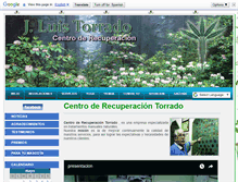 Tablet Screenshot of centrotorrado.com